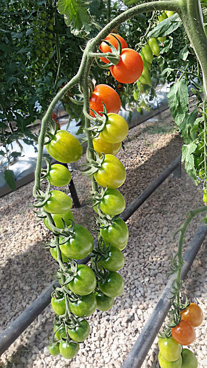 Photo 2016 11 11 16 59 57