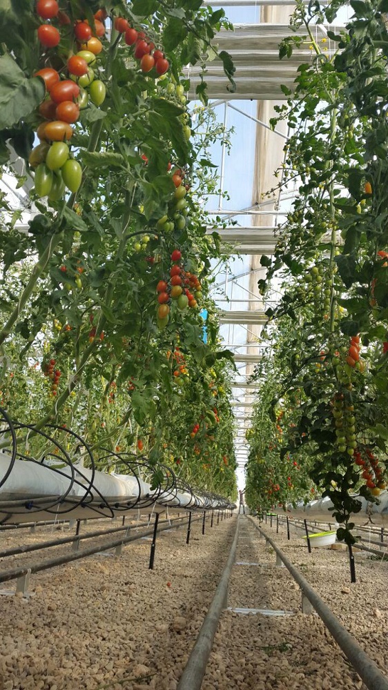 Photo 2016 11 12 11 27 17 1