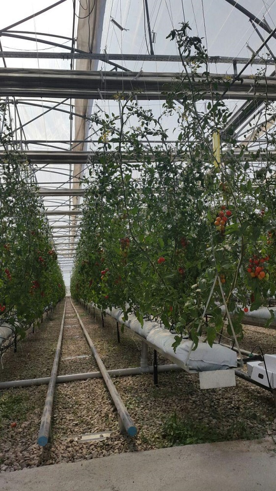 Photo 2016 11 12 11 28 04 1