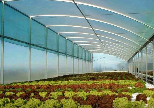 آشنایی با سازه های گلخانه ای