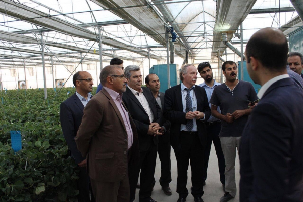 بازدید مشاور وزیر کشاورزی هلند از مجموعه